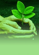Ética e Sustentabilidade
